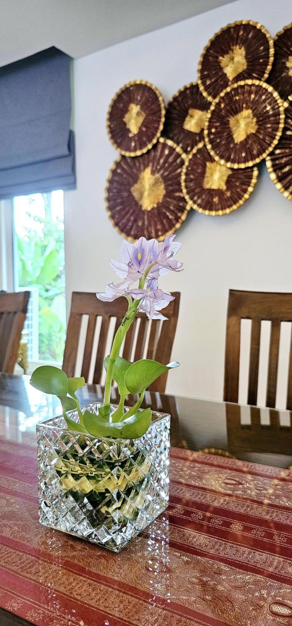 Jj Queen And Kohyaonoi Villa